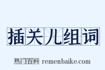 插关儿组词是什么意思的图片